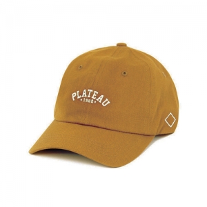 HAT.CAP.HEADWEAR.PLATEAU,플래토,모자,볼캡,스냅백